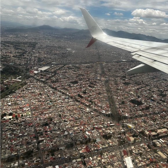 Meet your Posher: Roe - Picture 3 of 16